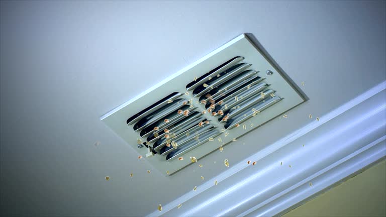 Best General Air Duct Cleaning  in Xtonia, PA